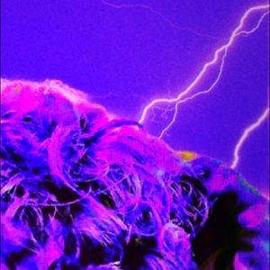 Meet your Posher, Liam